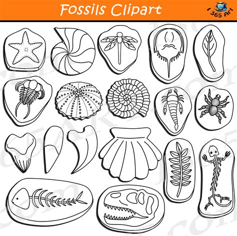 fossil clip art black and white.